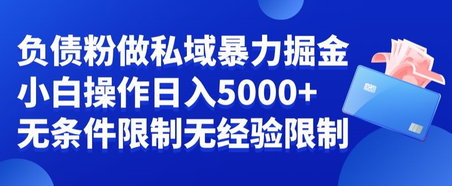 负债粉私域暴力掘金，小白操作入5000，无经验限制，无条件限制