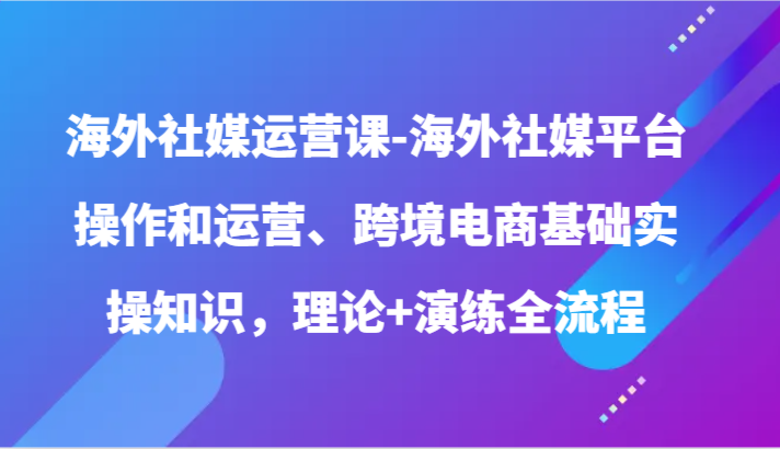 海外社媒运营课-海外社媒平台操作和运营、跨境电商基础实操知识，理论+演练全流程