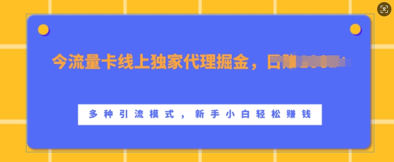 流量卡线上独家代理掘金，日入1k+ ，多种引流模式，新手小白轻松上手