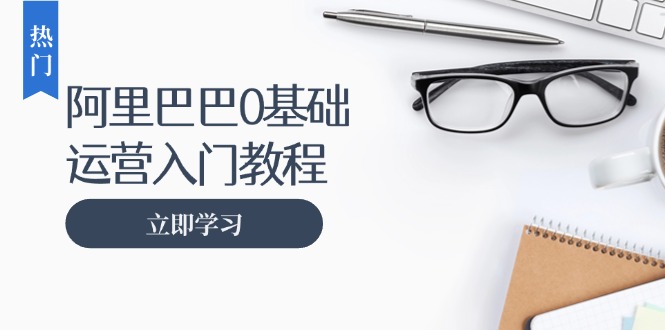 （13291期）阿里巴巴运营零基础入门教程：涵盖开店、运营、推广，快速成为电商高手