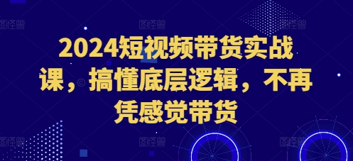 2024短视频带货实战课，搞懂底层逻辑，不再凭感觉带货