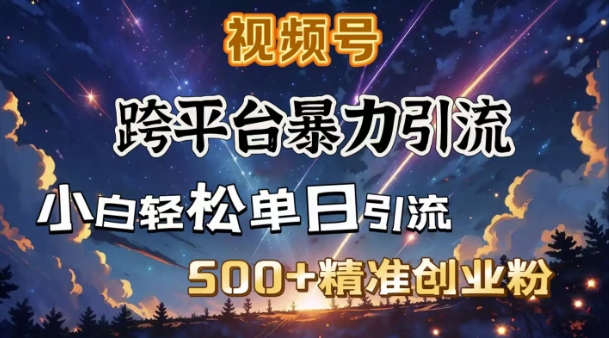 跨平台暴力引流，私域完美闭环，日引500+精准创业粉